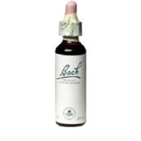 Bach remedy cerato 20 ml