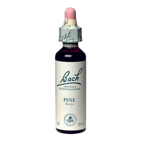Bach remedy pine 20 ml