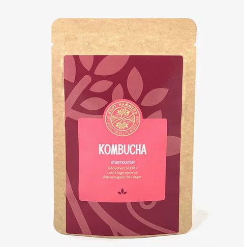 Gry Hammer kombucha startkultur