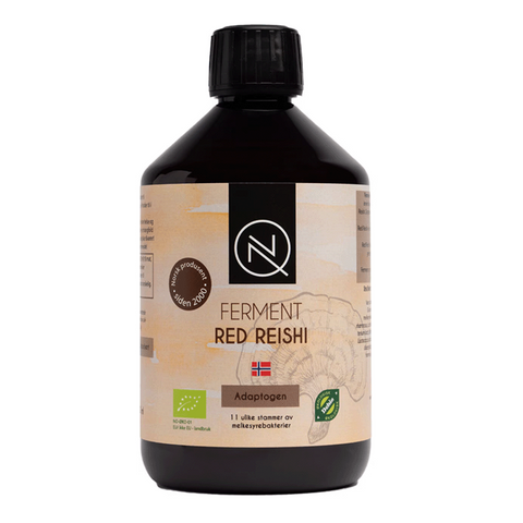Ferment-red-reishi