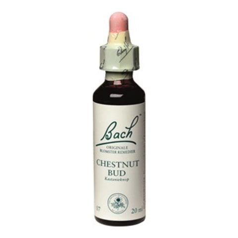 Bach remedy chestnut bud 20 ml