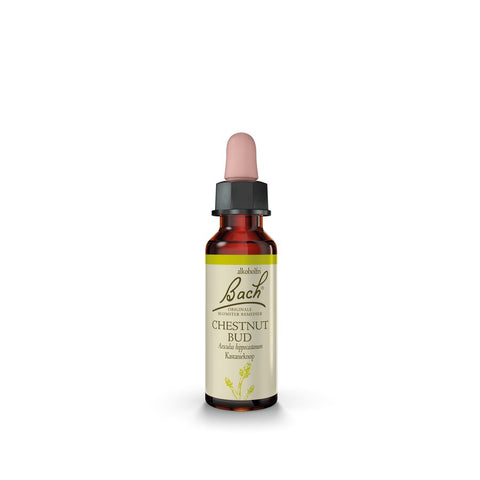 Bach_Enkeltremedier_DK_10ml_ChestnutBud_Kastanjeknop_2000x2000px_050923
