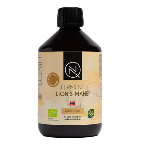 Ferment-lions-mane