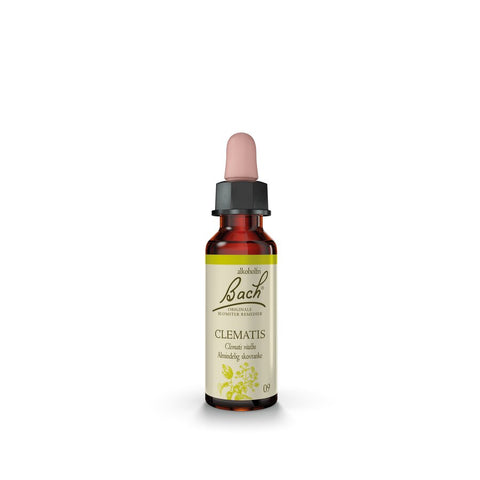 Bach_Enkeltremedier_DK_10ml_Clematis_Almindelig_Skovranke_2000x2000px_050923
