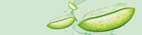 DR ORGANIC - Kinsarvik Naturkost