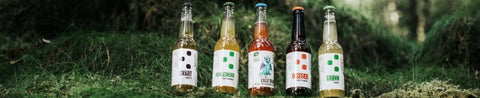 The Kombucha - Kinsarvik Naturkost