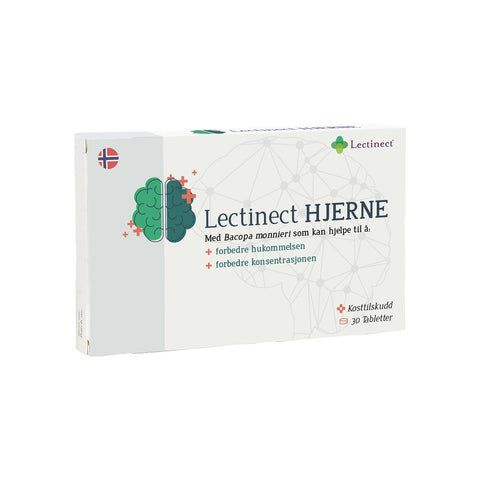 Lectinect_hjerne