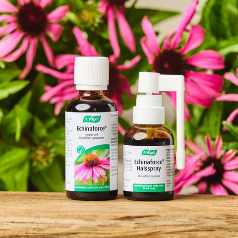 7610313410965 miljøbilde