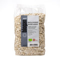 Biogan byggflak 500 g