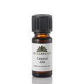 Urtegården cajeput olje 10 ml eterisk