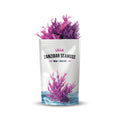 Lilla_Zanzibar_Seamoss_Sunnest_front