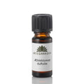 Urtegården epleblomst duftolje 10 ml