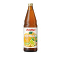 VOELKEL KOMBUCHA LIME OG INGEFÆR 0,75 L