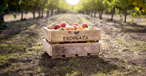 Ekoplaza