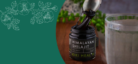 Himalayan shilajit 