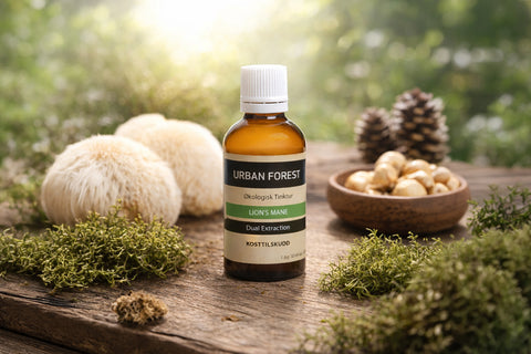 Alt fra Urban Forest