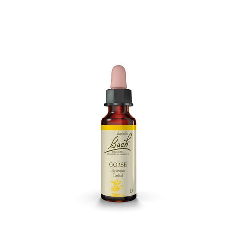 Bach remedy gorse 10 ml - Kinsarvik NaturkostBlomsterremedierBach remedy5000488303599#helsekost#
