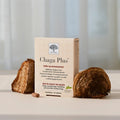 New Nordic Chaga Plus 30tab - Kinsarvik NaturkostSoppNew nordic5021807008780helsekost