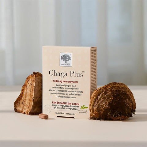 New Nordic Chaga Plus 30tab - Kinsarvik NaturkostSoppNew nordic5021807008780helsekost