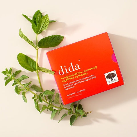 New Nordic Dida 90 tab - Kinsarvik NaturkostMage & tarmNew nordic5021807457700helsekost