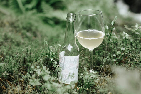 The Kombucha Eldtona 0,33L - Kinsarvik NaturkostKombuchaThe kombucha7090060080244helsekost