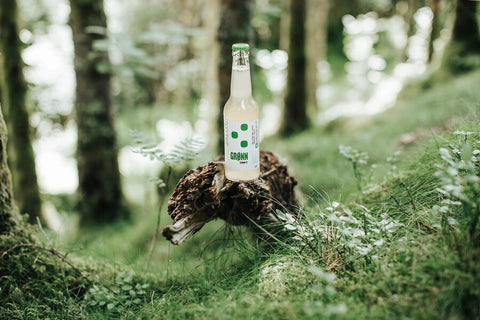 The Kombucha Grønn 0,33L - Kinsarvik NaturkostKombuchaThe kombucha7090060080008helsekost