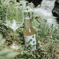 The Kombucha Mojito 0,33L - Kinsarvik NaturkostKombuchaThe kombucha7090060080268helsekost