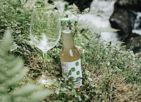 The Kombucha Mojito 0,33L - Kinsarvik NaturkostKombuchaThe kombucha7090060080268helsekost