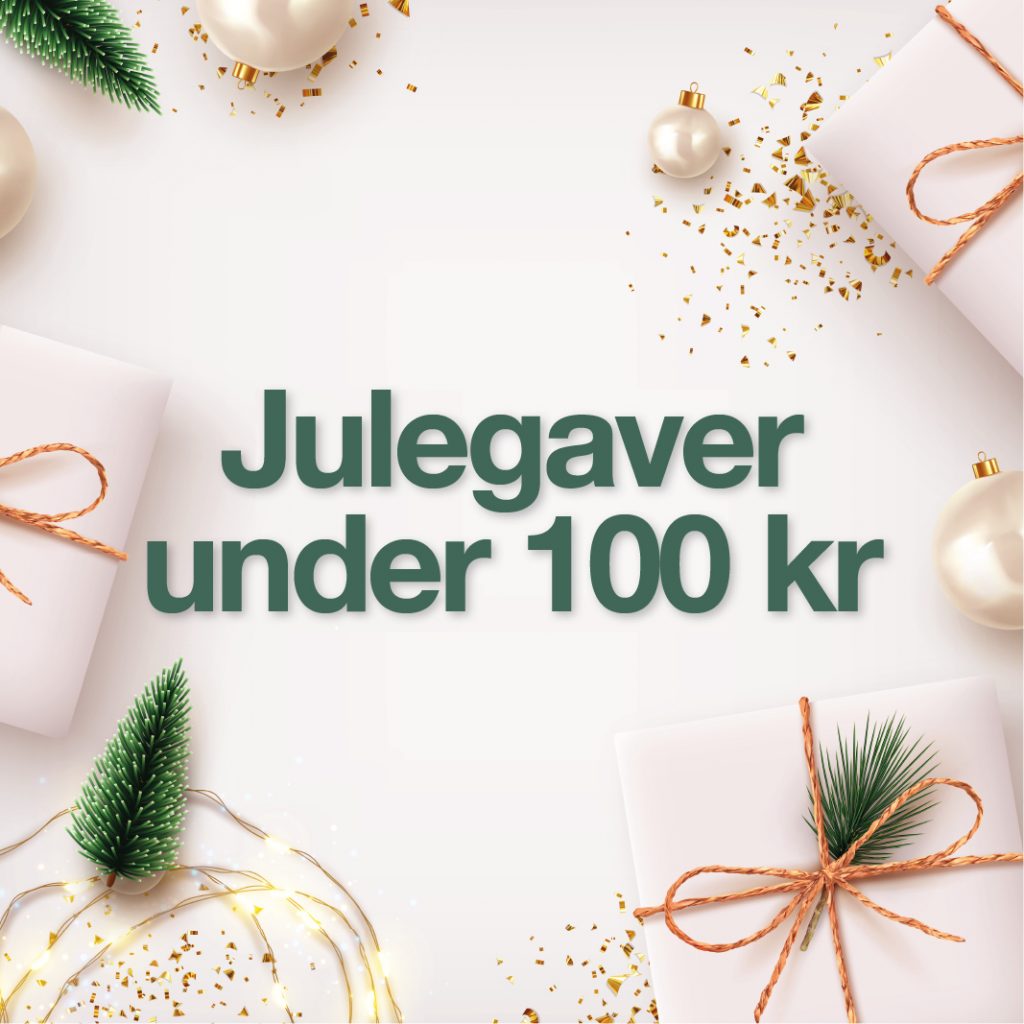 Julegaver under 100 kr