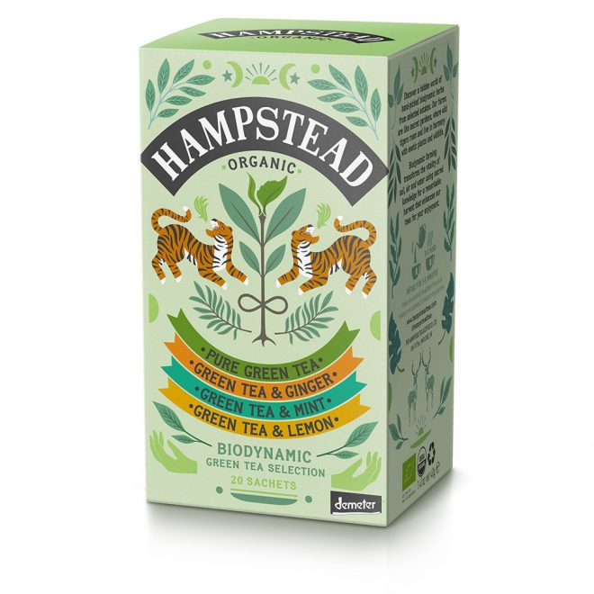 Hampstead økologisk grønn te kolleksjon 20 poser